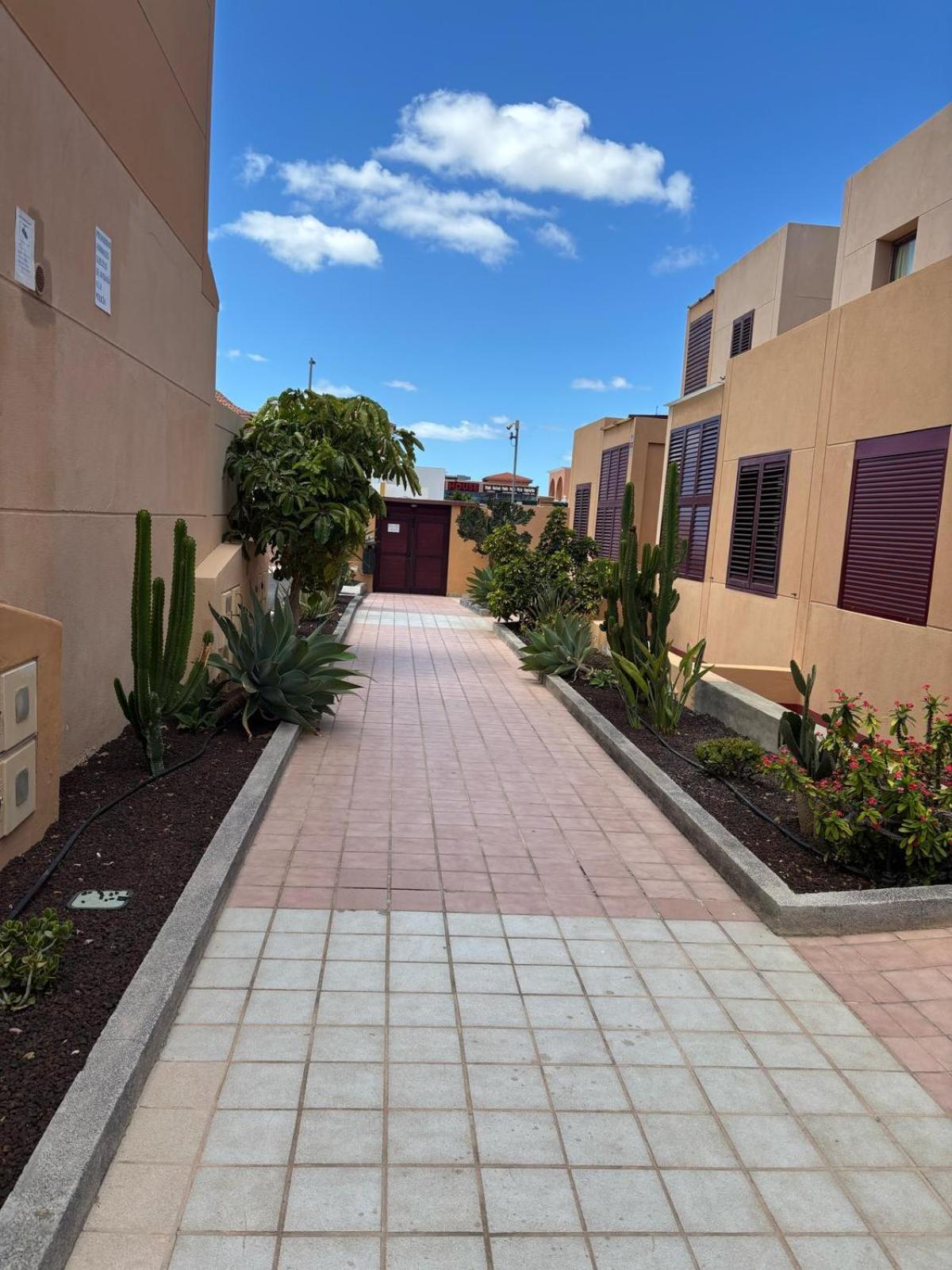 Elisabeth Apartmant Caleta de Fuste Extérieur photo